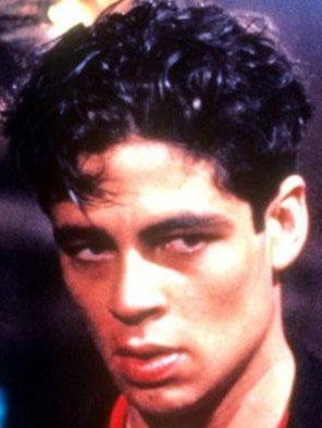 Benicio Del Toro