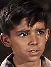 Donald Losby
