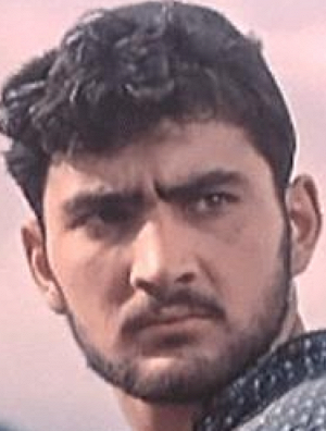 Georgij Šengelaja