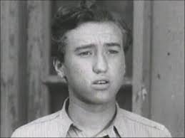 Hal E. Chester