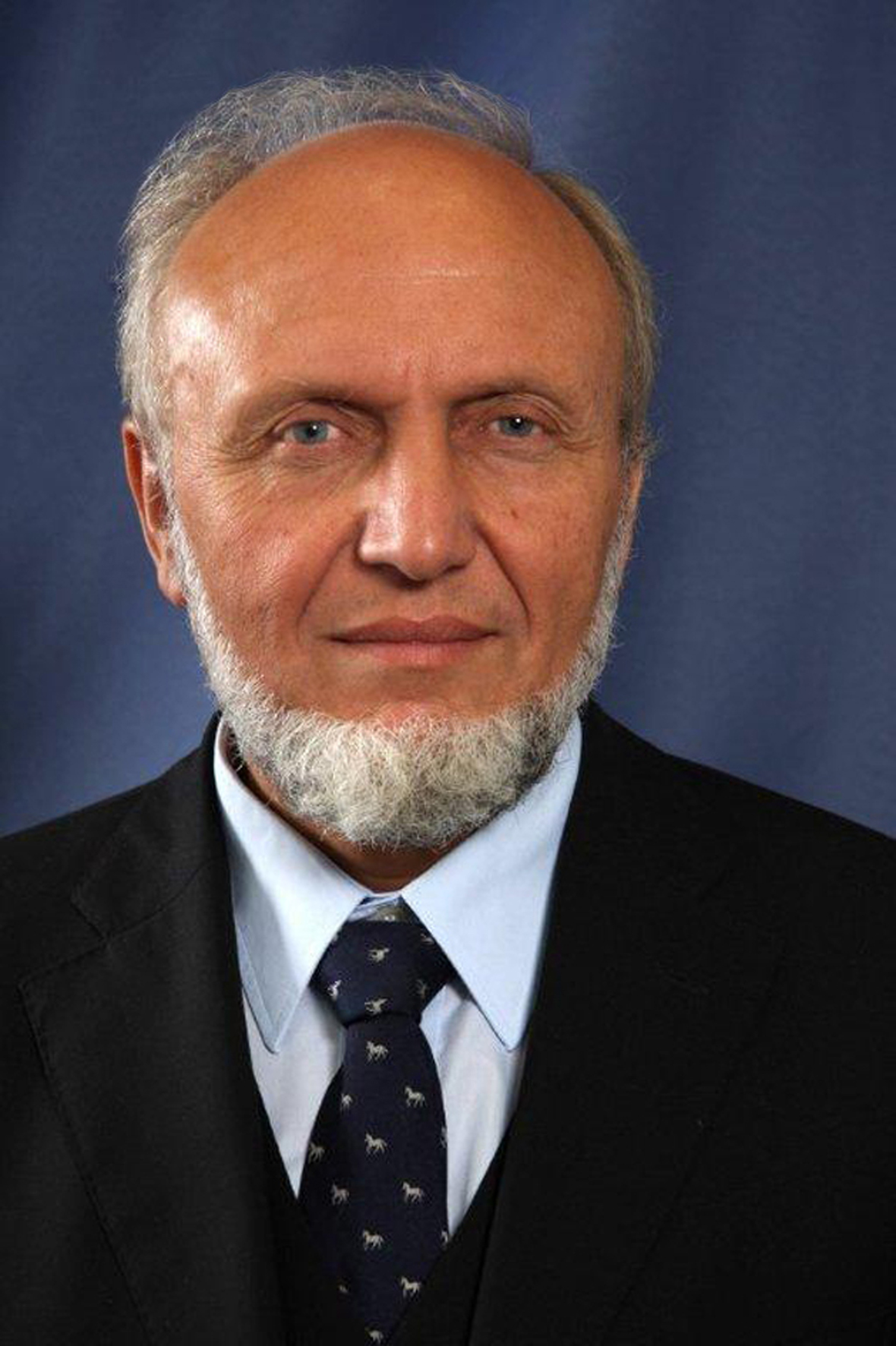 Hans Werner