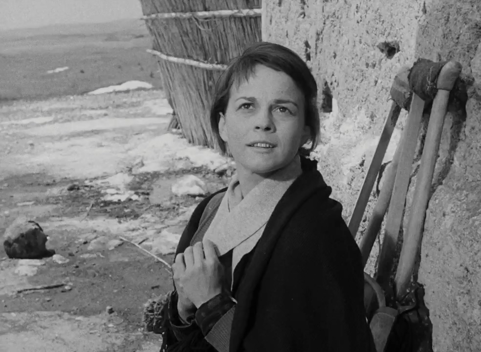 Sue Ellen Blake