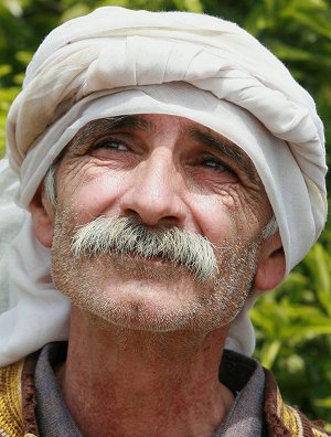 Tarik Kopty