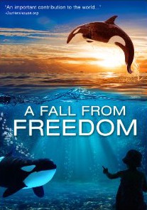A Fall from Freedom
