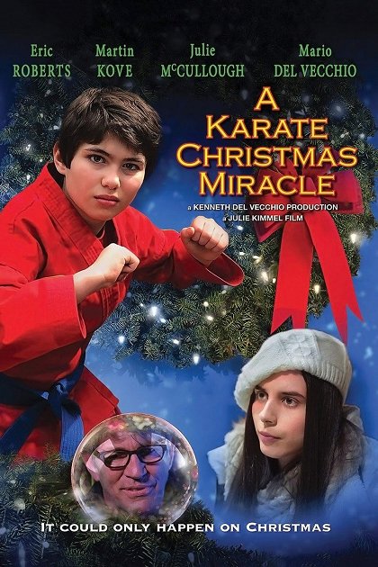 A Karate Christmas Miracle