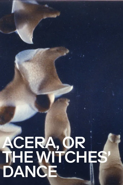 Acéra ou le bal des sorcières