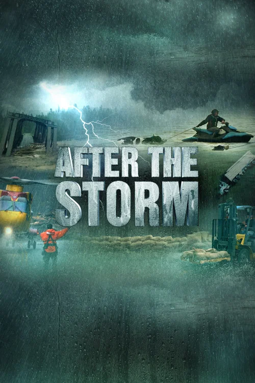After The Storm