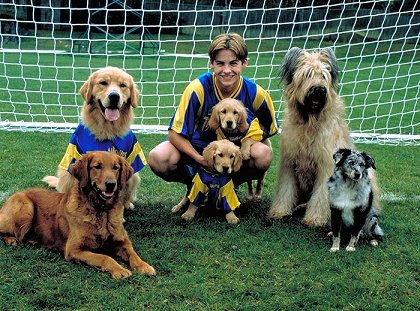 Air Bud - Fotbalista