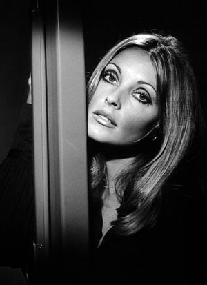 All Eyes On Sharon Tate