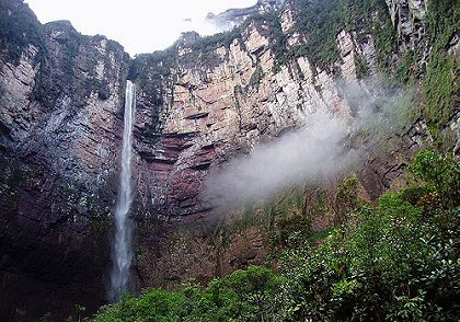 Amazonia vertical