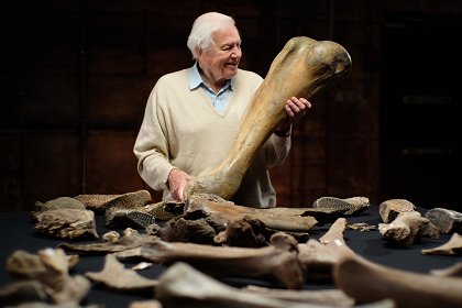 Attenborough a pohřebiště mamutů