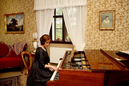Bedřich Smetana, život žitý zaživa