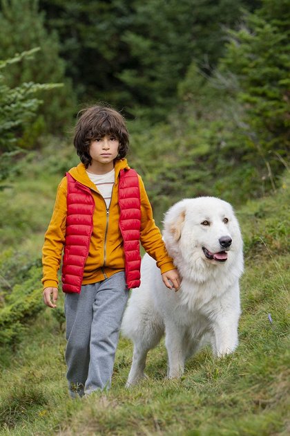 Bella a Sebastian: Nová generace