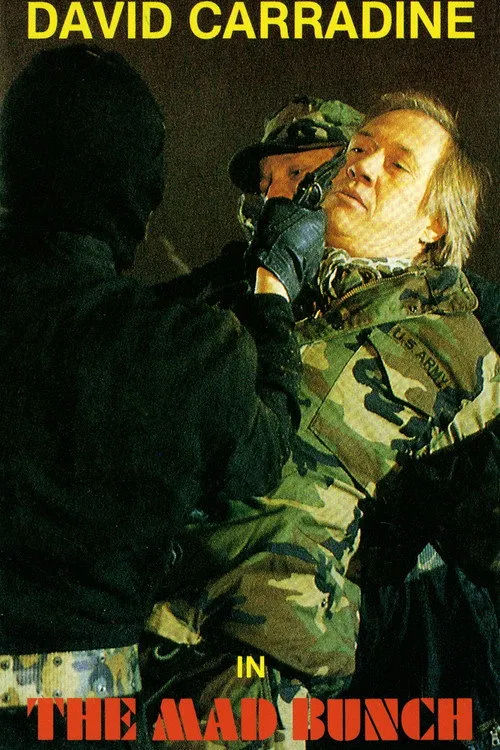 Bláznivá banda