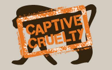 Captive Cruelty