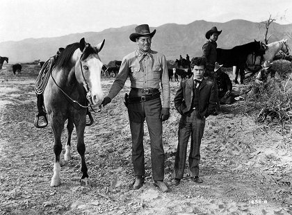 Cattle Drive