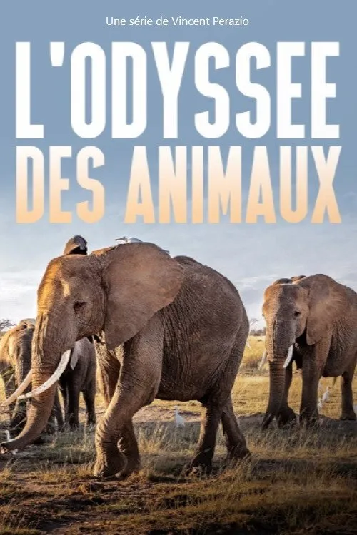 Cesta australského klokana