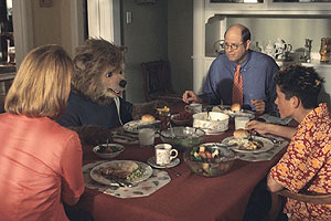 Country Bears