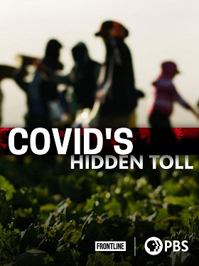 COVID's Hidden Toll