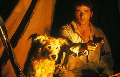 Crusoe