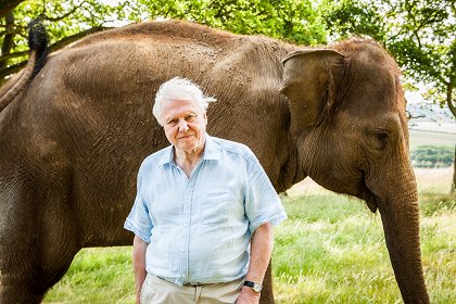 David Attenborough a obří dinosaurus