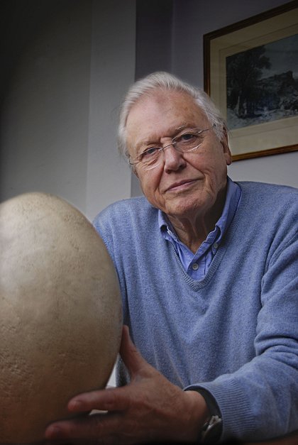 David Attenborough a obří vejce