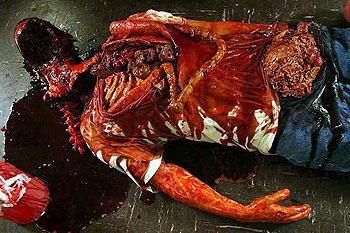 Day of the Dead 2: Contagium