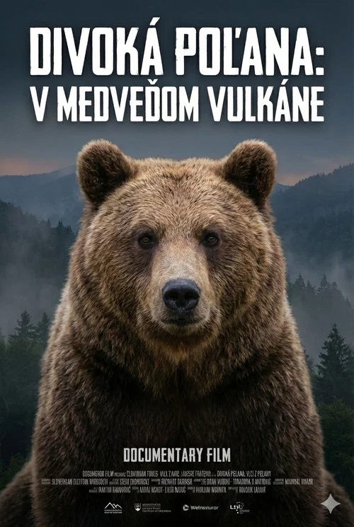 Divoká Poľana: V medvědím vulkánu