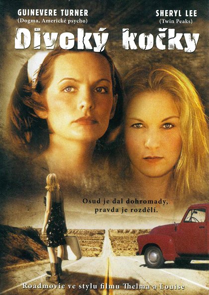 Divoký kočky