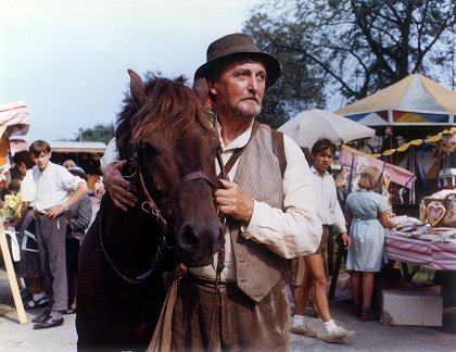 Divoký koník Ryn