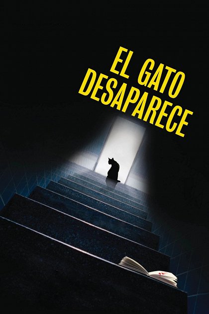 El gato desaparece