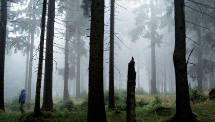 Etwas Besseres als den Tod