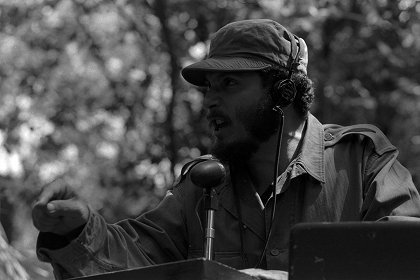 Fidel