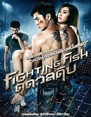 Fighting Fish