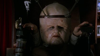 Head of the Family
