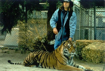 Hollywoodské safari