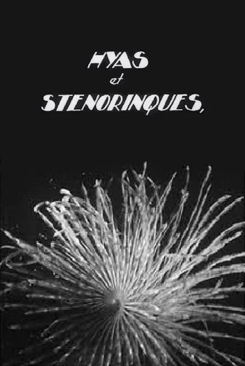 Hyas et stenorinques