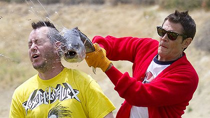 Jackass 3.5