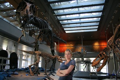 Jak se staví dinosaurus