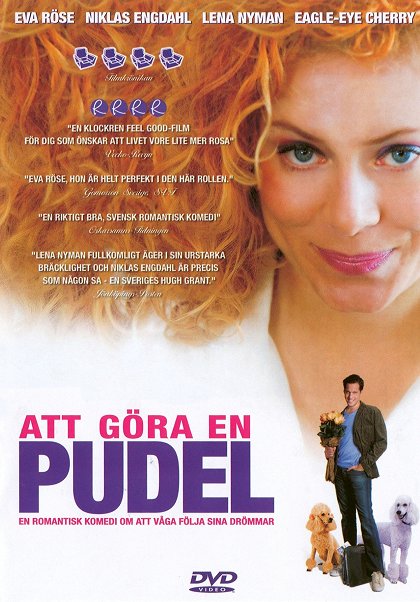 Jak upravit pudla