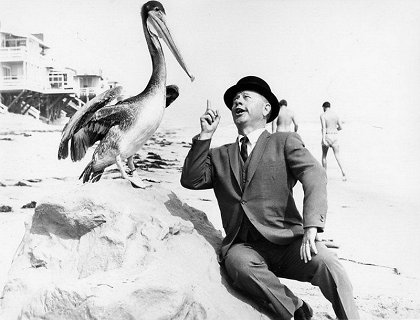 Jak vycpat divoké bikini