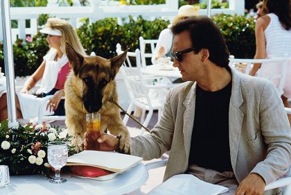 K-9 II. Můj přítel se studeným čumákem