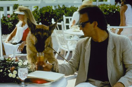 K-9, můj přítel se studeným čumákem