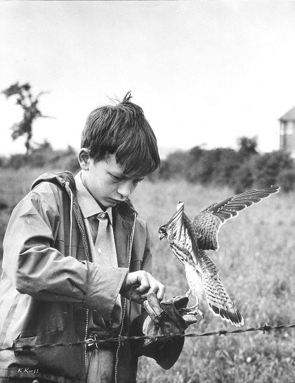 Kes