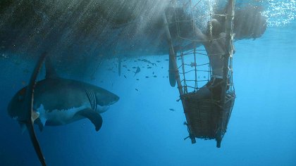 Kon-Tiki