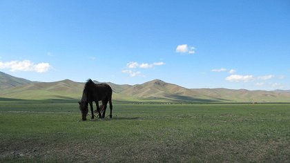 Koňský den po mongolsku