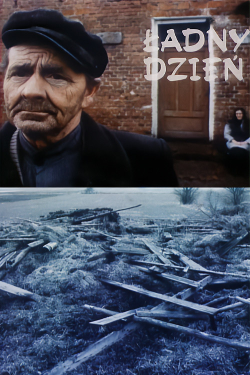 Ladny dzien