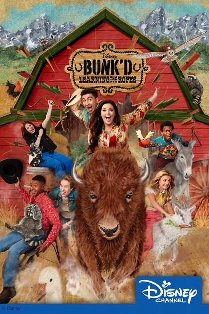 Láska je pro ptáky