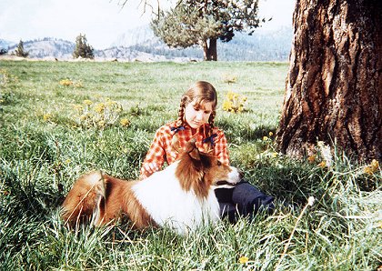 Lassie - Hlas naděje