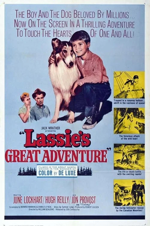 Lassie - Velké dobrodružství